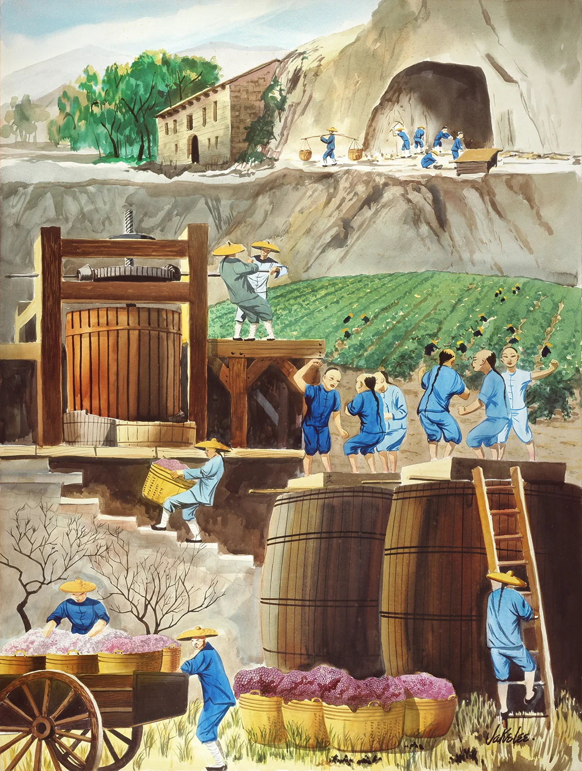 Jake Lee: Vineyard Workers in Sonoma County