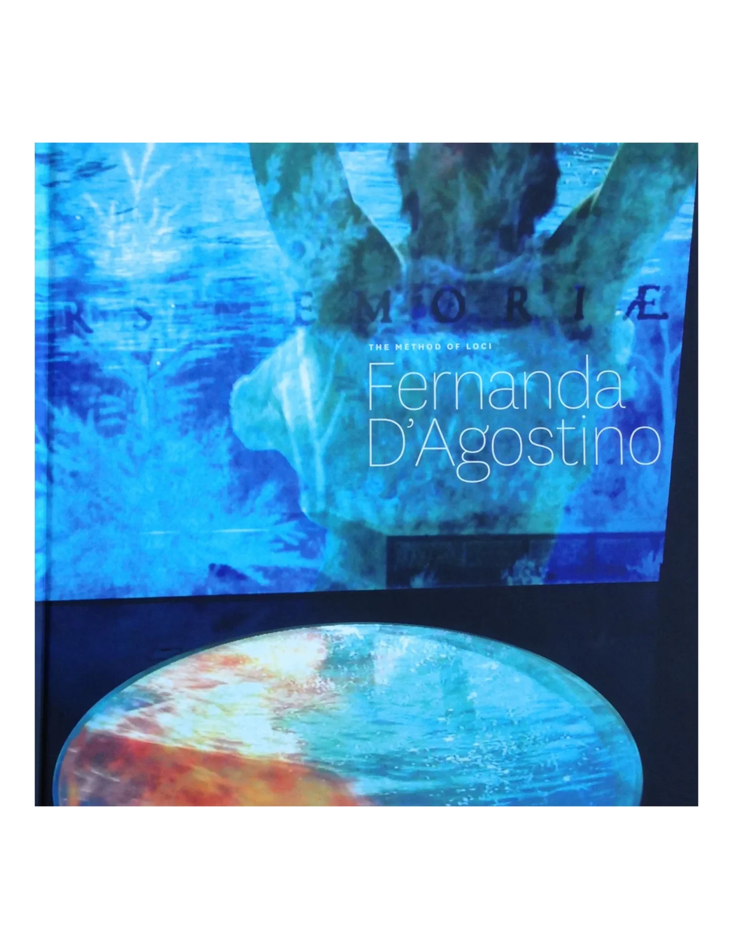 Fernanda D'Agostino, The Method Of Loci, 2013